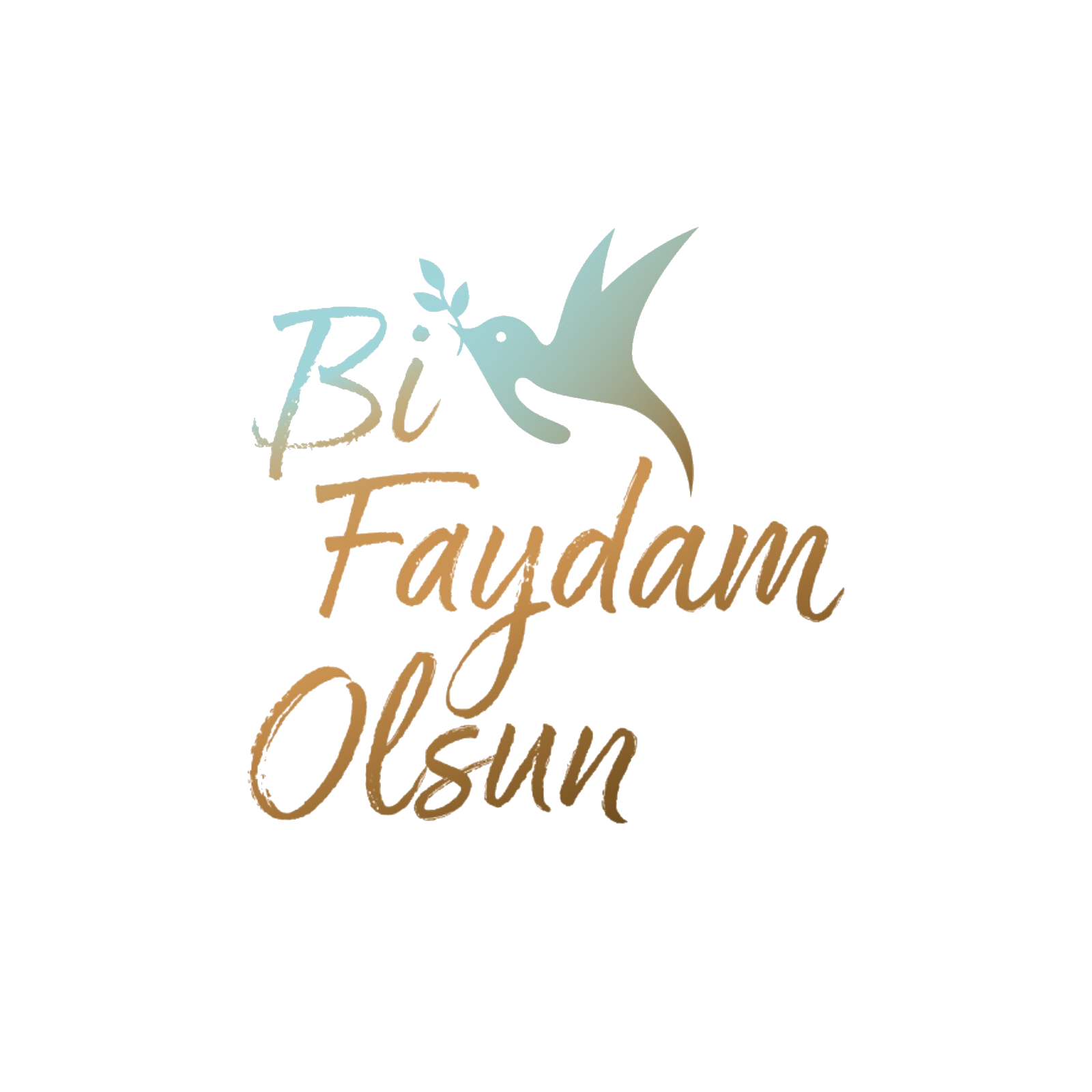 BiFaydamOlsun.Com